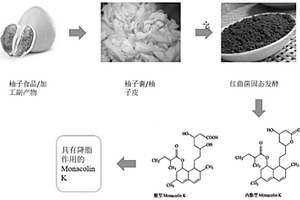 一種紅曲菌利用柚子副產(chǎn)物產(chǎn)降脂成分Monacolin K的方法