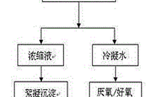 一種垃圾滲濾液的處理方法