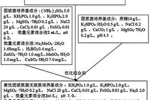 一種以顯色反應(yīng)作輔助手段篩選產(chǎn)酒精代謝產(chǎn)物的兼性固碳氮微生物的篩選方法