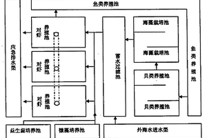 一種蝦-魚(yú)-貝-藻多元養(yǎng)殖及其水質(zhì)生物調(diào)控系統(tǒng)