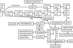 一種高鹽污水處理工藝