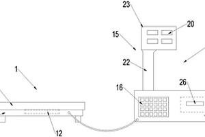 危險廢物秤重電子條碼秤