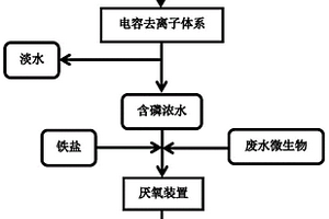 一種電容去離子結(jié)合厭氧鐵還原合成藍鐵石的磷回收方法