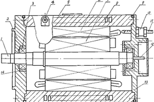 電動(dòng)汽車驅(qū)動(dòng)電機(jī)