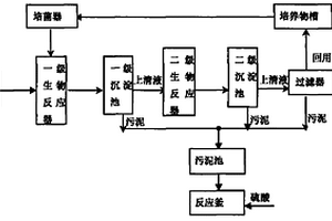 一種復(fù)合功能菌處理危險(xiǎn)廢物砷廢液的方法