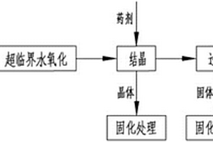 含重金屬、毒性有機(jī)物的液體危險(xiǎn)廢物的處理方法