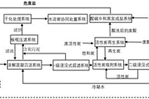 一種廢鹽、廢酸、廢堿、廢活性炭的協(xié)同處置資源化系統(tǒng)