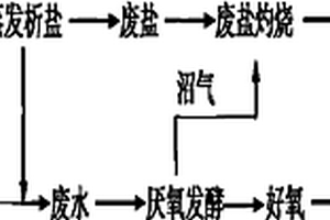 纖維素生產(chǎn)中高含鹽有機(jī)廢水的凈化處理工藝