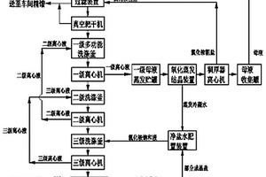 一種低沸點廢鹽的資源化處置工藝