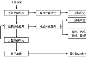 一種工業(yè)廢鹽的資源化處理系統(tǒng)