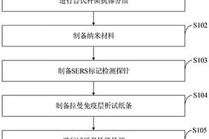 表面增強(qiáng)拉曼散射結(jié)合免疫層析技術(shù)檢測(cè)布魯氏桿菌方法