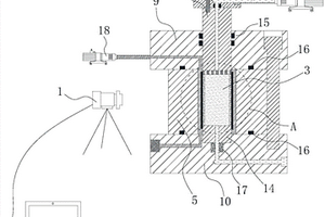 一種滲流條件下觀測(cè)巖石全場(chǎng)變形的裝置
