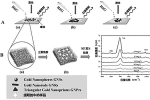 一種SERS性能檢測(cè)生物傳感器的制備方法和應(yīng)用