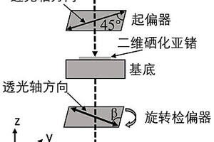 一種基于二維硒化亞鍺的偏振相位調(diào)制器件及其設(shè)計方法