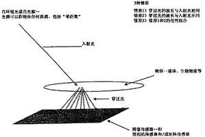 用于測量化學(xué)濃度、化學(xué)飽和度和生物物理參數(shù)的光學(xué)傳感器裝置和圖象處理單元