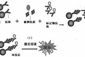 多指標聯(lián)檢化學發(fā)光免疫試劑盒及其制備方法