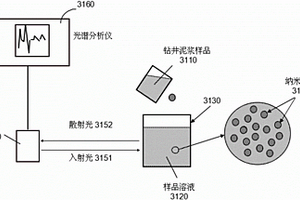 利用光散射光譜分析探測地下原油或天然氣的系統(tǒng)及方法