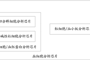 血細胞分析芯片、分析儀及分析方法