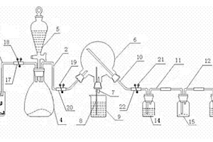檢驗CO2性質(zhì)的化學實驗裝置