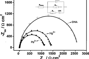 基于電化學(xué)DNA生物傳感器的Pb2+、Hg2+同時測定方法