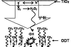 羥基自由基的電化學分析方法