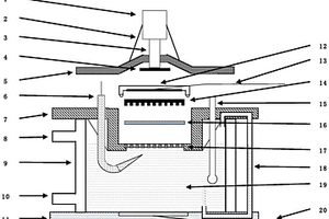 模擬燃料電池原位測試的立式電化學(xué)測量池及測試方法