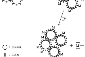 探針、探測金屬離子的方法、與探測化學(xué)/生化分子的方法