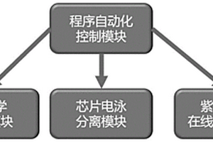 連續(xù)合成微化學(xué)反應(yīng)與在線監(jiān)測的自動控制系統(tǒng)和方法