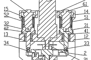 適用于化學(xué)發(fā)光測(cè)定儀的線性微量啟動(dòng)泵