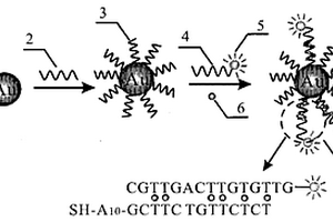 納米粒子強化的熒光偏振分析方法