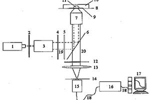 激光熒光關(guān)聯(lián)譜單分子分析儀