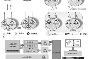 核酸分析方法及應用