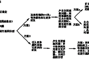 多基因座STR分析方法