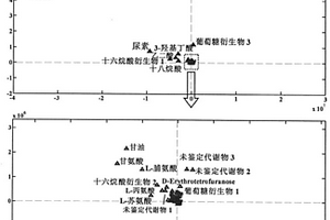 色譜-質(zhì)譜代謝組學(xué)數(shù)據(jù)分析的新方法