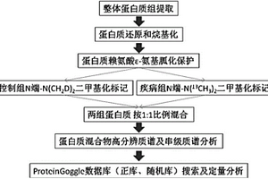 不同生理或病理條件下整體蛋白質(zhì)的定量分析方法