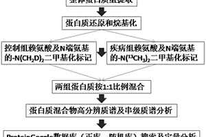 整體蛋白質(zhì)定量分析方法