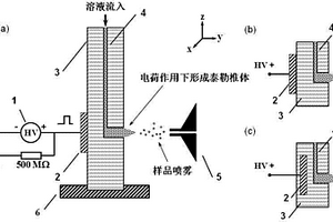 用于微流控芯片上樣品直接電噴霧電離的裝置及質(zhì)譜分析方法