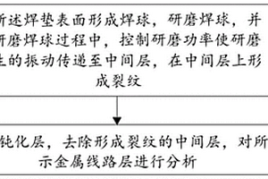 芯片結構分析方法