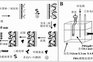 甲砜霉素分子印跡電化學傳感器及其制備方法與應用