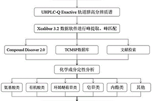 快速識別驢膠補血顆粒中化學(xué)成分的方法