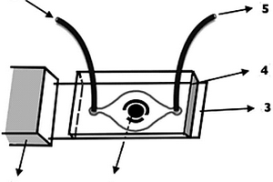電化學(xué)微流控傳感芯片的制備方法及其應(yīng)用