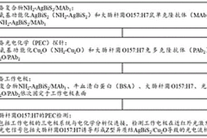 近紅外光電化學(xué)傳感平臺的構(gòu)建方法和應(yīng)用