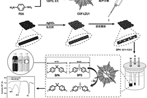 基于共價(jià)有機(jī)骨架和銀納米粒子復(fù)合碳布電極的比率型電化學(xué)傳感器