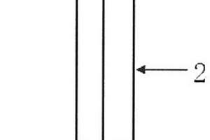 石墨烯-淀粉電化學(xué)傳感器、其制備方法及應(yīng)用