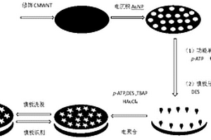 基于電聚合對巰基苯胺膜制備己烯雌酚分子印跡電化學(xué)傳感器的方法及其應(yīng)用