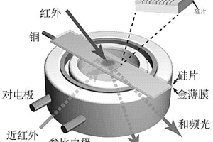 刻有金屬納米光柵的電化學(xué)工作電極及其制備方法