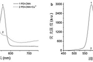 連續(xù)性檢測Cu<Sup>2+</Sup>和多巴胺的熒光探針PDI-CMA及其制備方法和應(yīng)用