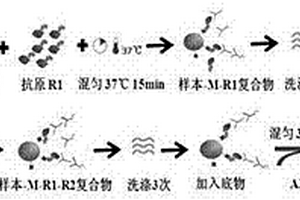 抗gp210抗體檢測(cè)試劑盒及其檢測(cè)方法