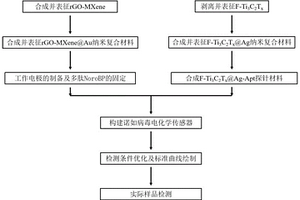 諾如病毒檢測探針及試劑盒、一種檢測諾如病毒的方法