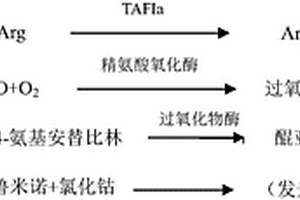 TAFIa含量的檢測(cè)方法、用于檢測(cè)TAFIa含量的試劑盒及二者的應(yīng)用